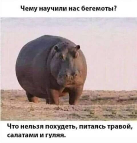 https://upforme.ru/uploads/001a/00/cb/454/t555842.jpg