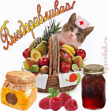 https://upforme.ru/uploads/001a/00/cb/454/t681882.jpg