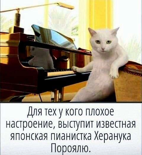 https://upforme.ru/uploads/001a/00/cb/454/t697649.webp