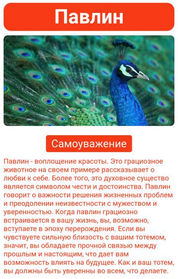 https://upforme.ru/uploads/001a/00/cb/454/t732596.jpg