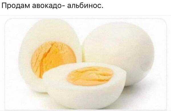 https://upforme.ru/uploads/001a/00/cb/454/t814439.jpg