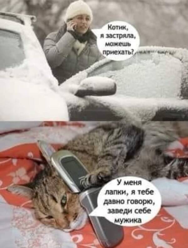 https://upforme.ru/uploads/001a/00/cb/454/t826473.jpg