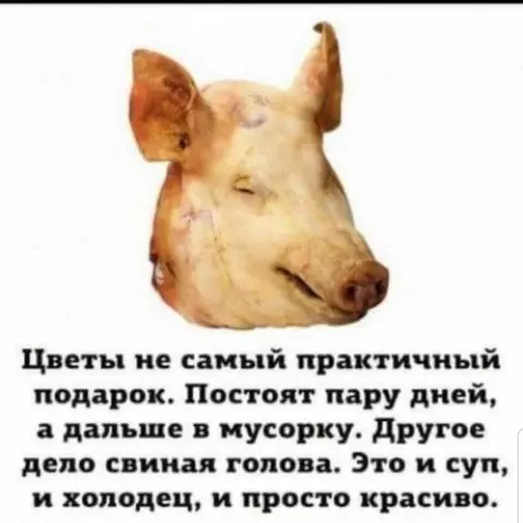 https://upforme.ru/uploads/001a/00/cb/454/t837972.webp