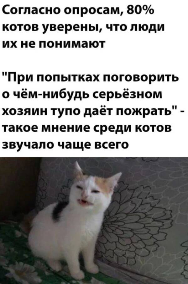 https://upforme.ru/uploads/001a/00/cb/454/t875828.jpg