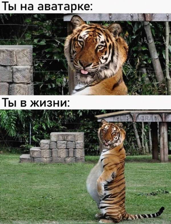 https://upforme.ru/uploads/001a/00/cb/454/t900093.jpg