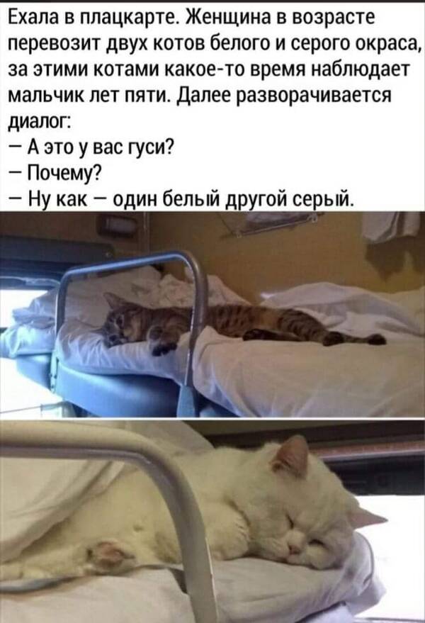 https://upforme.ru/uploads/001a/00/cb/454/t914728.jpg