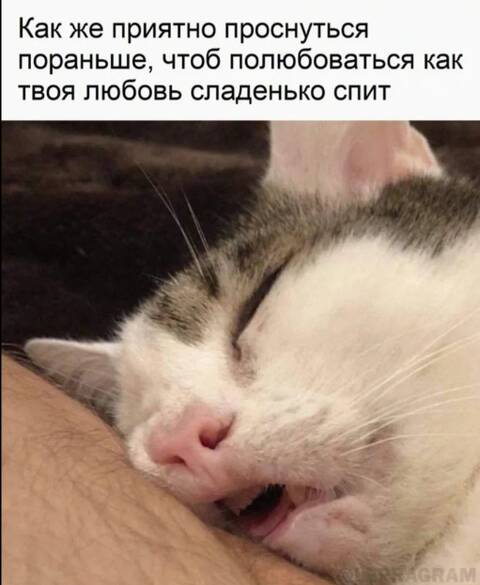 https://upforme.ru/uploads/001a/00/cb/454/t924098.jpg