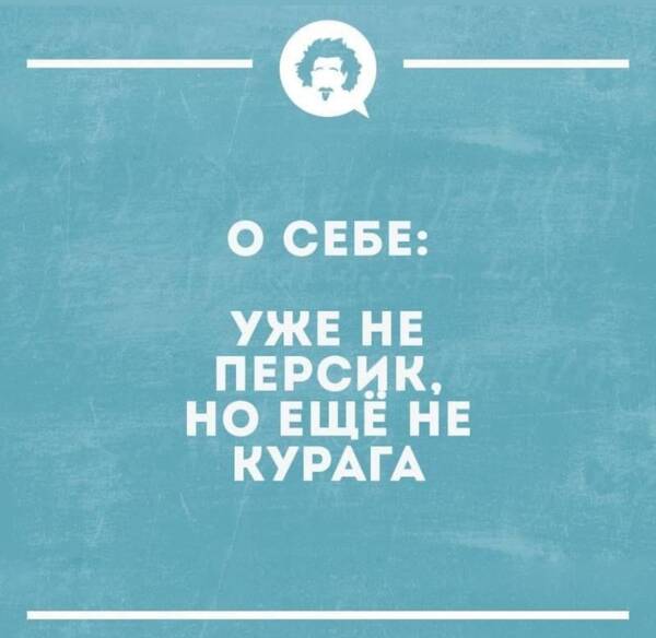https://upforme.ru/uploads/001a/00/cb/454/t941978.jpg
