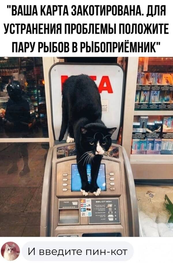 https://upforme.ru/uploads/001a/00/cb/454/t949075.jpg