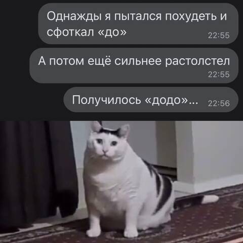 https://upforme.ru/uploads/001a/00/cb/454/t957452.jpg