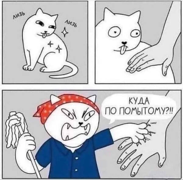 https://upforme.ru/uploads/001a/00/cb/454/t974451.jpg