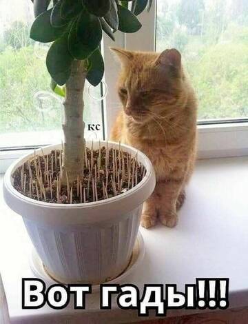 https://upforme.ru/uploads/001a/00/cb/467/t601345.jpg