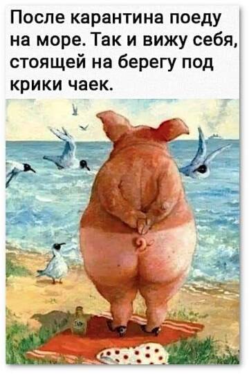 https://upforme.ru/uploads/001a/00/cb/467/t650491.jpg