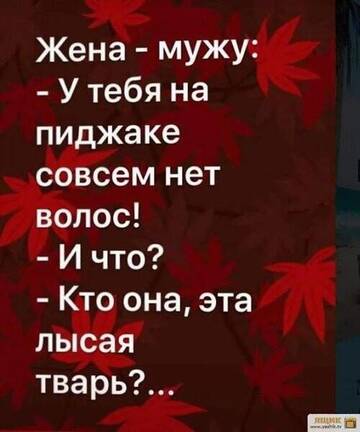 https://upforme.ru/uploads/001a/00/cb/467/t840506.jpg