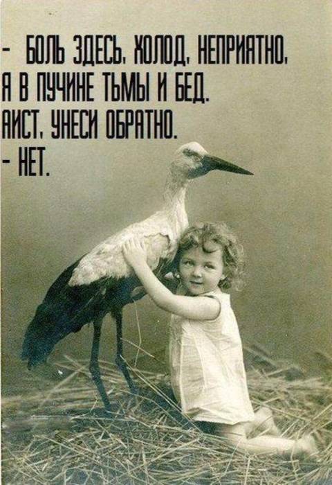 https://upforme.ru/uploads/001a/00/cb/551/t905946.jpg