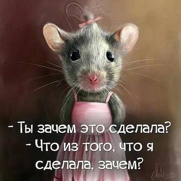 https://upforme.ru/uploads/001a/00/cb/57/t295701.jpg