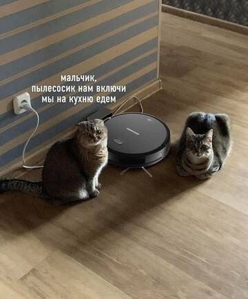 https://upforme.ru/uploads/001a/00/cb/577/t991433.jpg