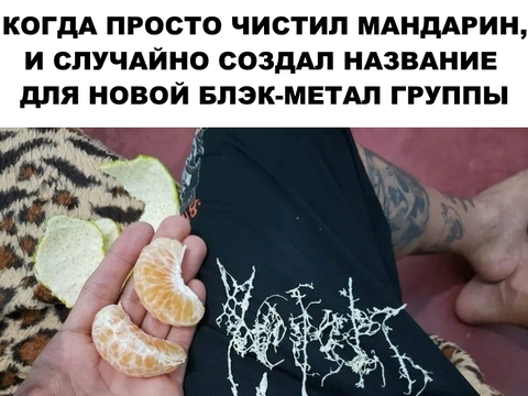 https://upforme.ru/uploads/001a/00/cb/698/t143985.png