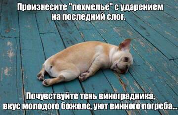 https://upforme.ru/uploads/001a/00/cb/698/t177345.jpg