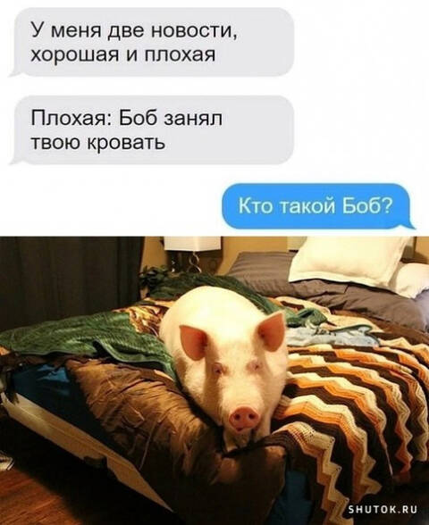 https://upforme.ru/uploads/001a/00/cb/698/t215264.jpg