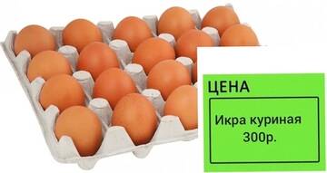 https://upforme.ru/uploads/001a/00/cb/698/t297290.jpg