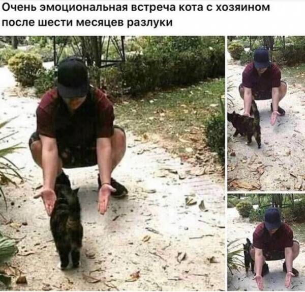 https://upforme.ru/uploads/001a/00/cb/698/t306622.jpg
