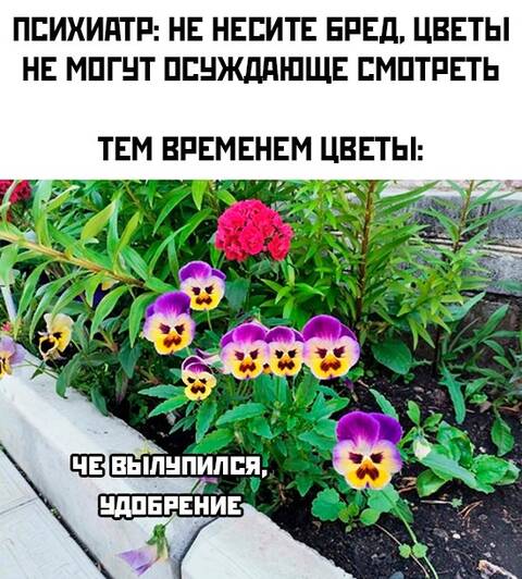 https://upforme.ru/uploads/001a/00/cb/698/t386059.jpg