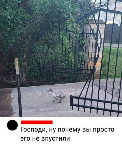 https://upforme.ru/uploads/001a/00/cb/698/t450639.jpg