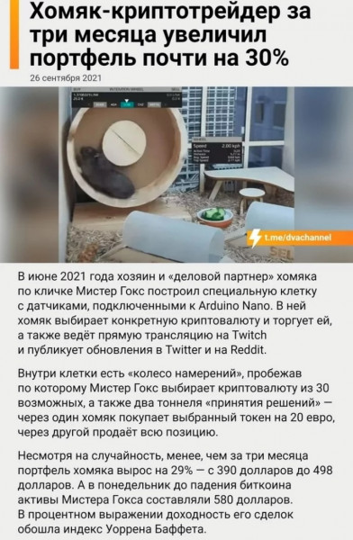 https://upforme.ru/uploads/001a/00/cb/698/t552508.jpg