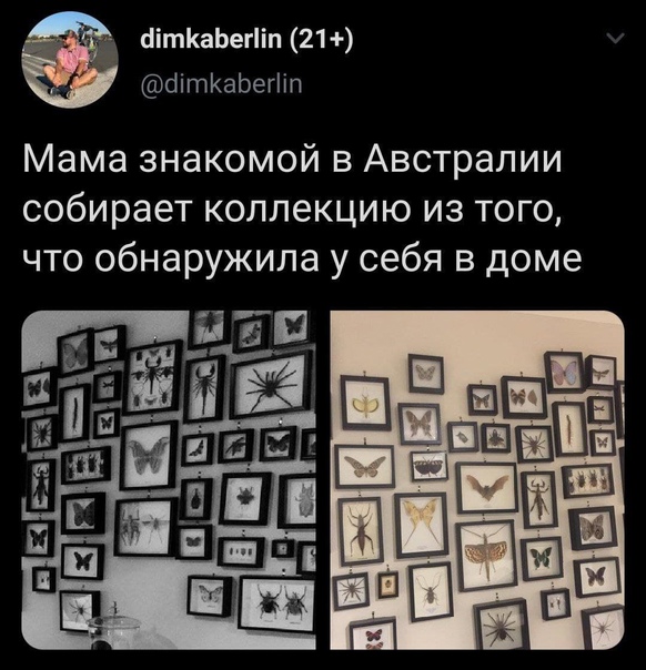 https://upforme.ru/uploads/001a/00/cb/698/t573532.jpg