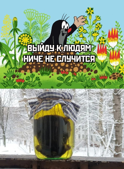 https://upforme.ru/uploads/001a/00/cb/698/t606657.jpg