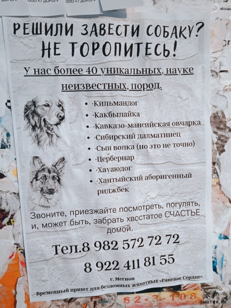 https://upforme.ru/uploads/001a/00/cb/698/t675334.jpg