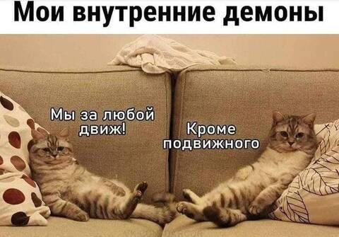 https://upforme.ru/uploads/001a/00/cb/698/t677503.jpg