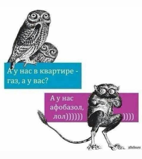 https://upforme.ru/uploads/001a/00/cb/698/t690422.jpg