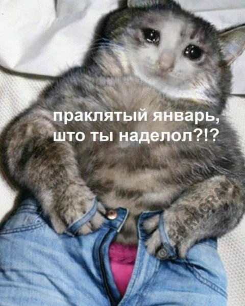 https://upforme.ru/uploads/001a/00/cb/698/t784736.jpg