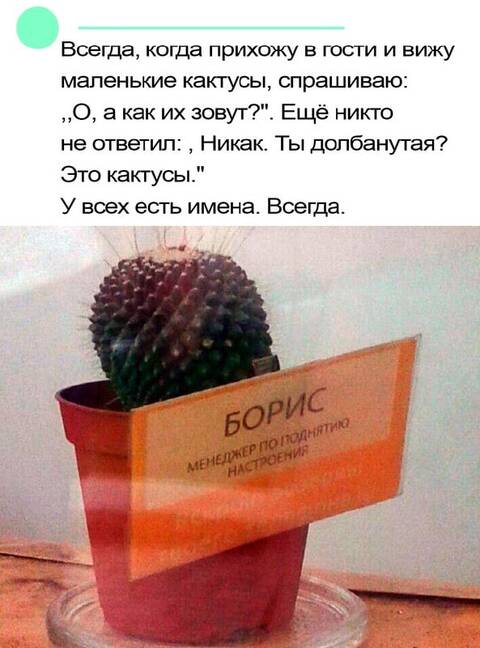 https://upforme.ru/uploads/001a/00/cb/698/t829094.jpg