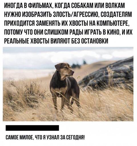 https://upforme.ru/uploads/001a/00/cb/698/t885183.jpg