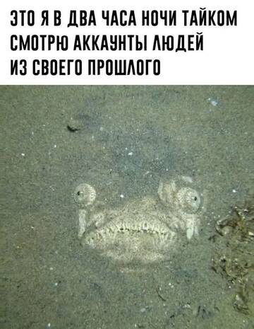https://upforme.ru/uploads/001a/00/cb/698/t896544.jpg