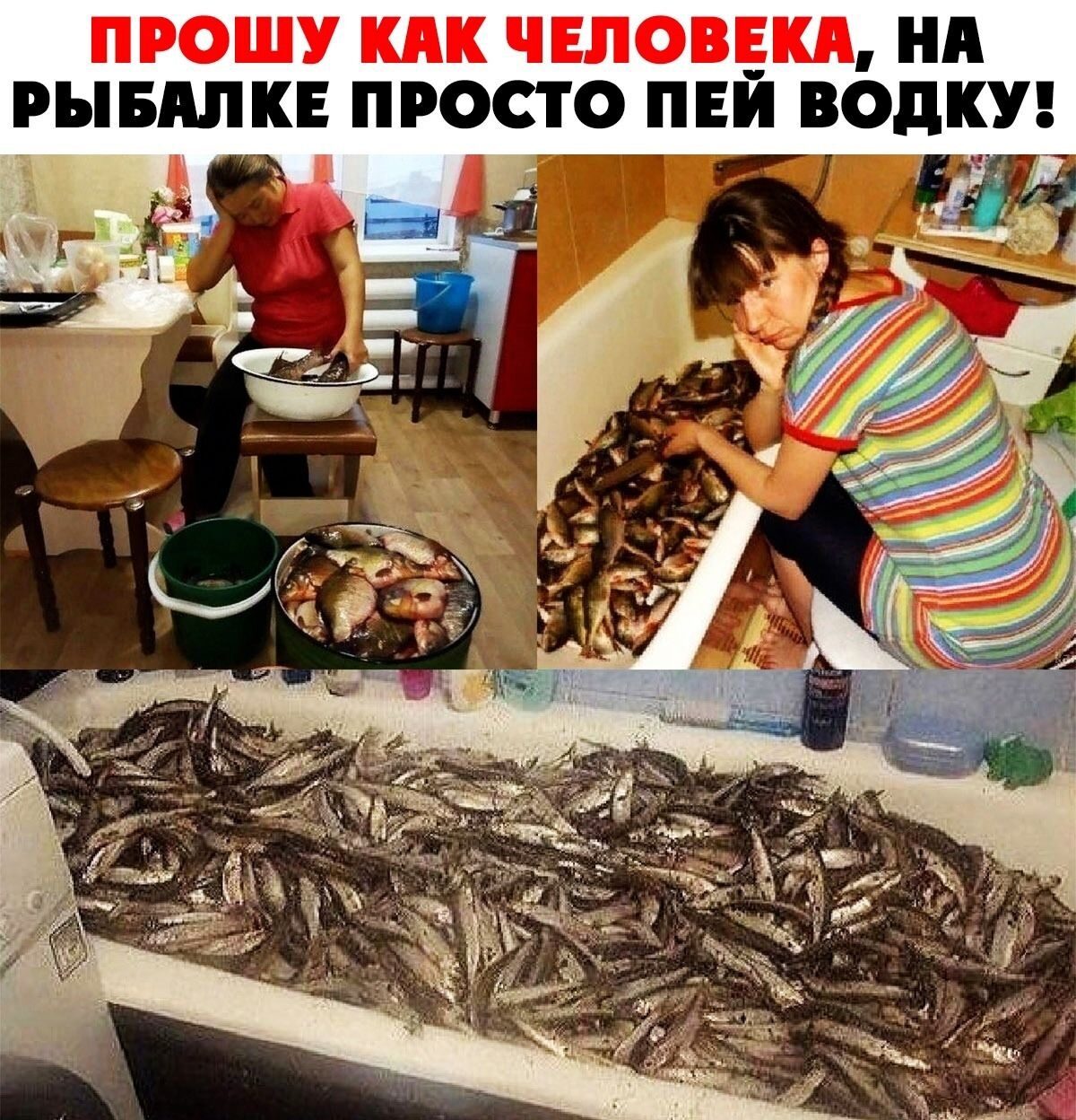 https://upforme.ru/uploads/001a/00/cb/92/238898.jpg