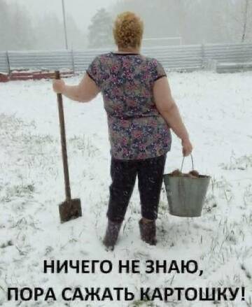 https://upforme.ru/uploads/001a/00/cb/92/t303860.jpg
