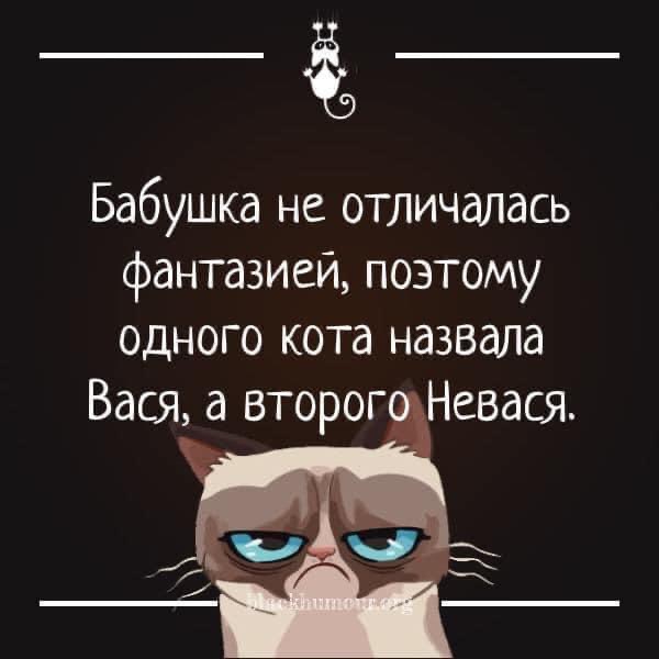 https://upforme.ru/uploads/001a/00/cb/97/912181.jpg