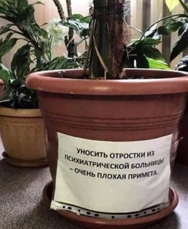 https://upforme.ru/uploads/001a/00/cb/97/937534.jpg