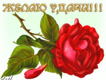 https://upforme.ru/uploads/001a/02/d6/13/t337085.jpg
