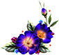 https://upforme.ru/uploads/001a/04/99/2/t12304.png