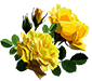 https://upforme.ru/uploads/001a/04/99/2/t55602.png