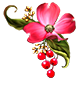 https://upforme.ru/uploads/001a/04/99/2/t91400.png