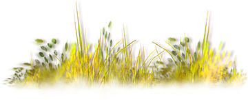 https://upforme.ru/uploads/001a/09/e7/82/t671235.png
