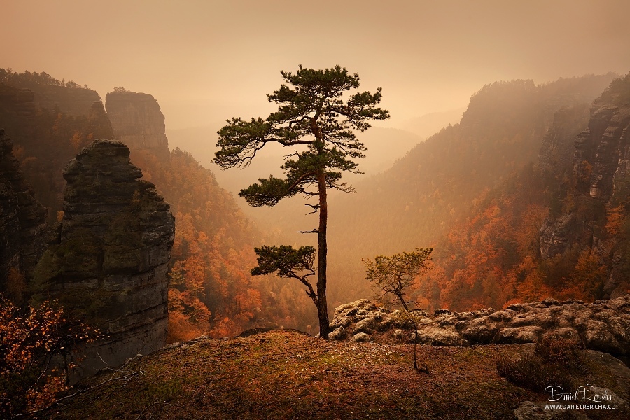 https://upforme.ru/uploads/001a/0a/5b/14/875655.jpg