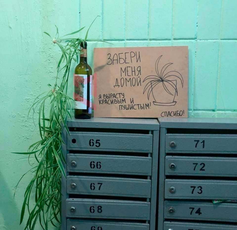 https://upforme.ru/uploads/001a/0a/5b/2/293326.jpg