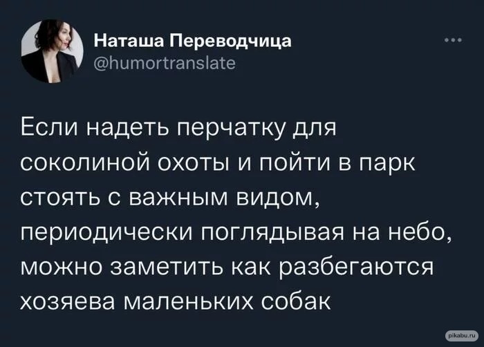 https://upforme.ru/uploads/001a/0a/5b/4/234552.jpg